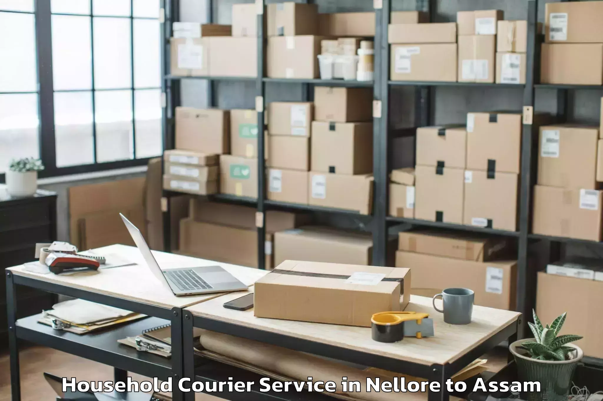 Book Nellore to Khoirabari Household Courier